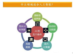 金準數(shù)據(jù)最新研究揭示 人工智能應用軟件開發(fā)驅(qū)動行業(yè)縱深發(fā)展